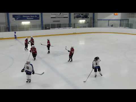 Kiekko-Karhut  - SiSu 2-19