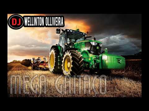 MEGA GAITAÇO PART 7- DIFERENCIADO 2019 - ( DJ Wellinton Olliveira )