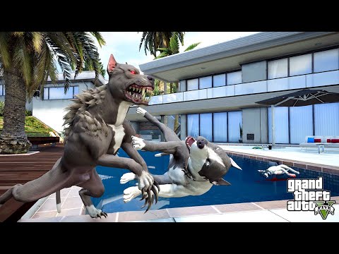 TERMİNATÖR YASAKLI EĞİTİMİNİ KULLANIYOR! - GTA 5 PİTBULL'UN HAYATI