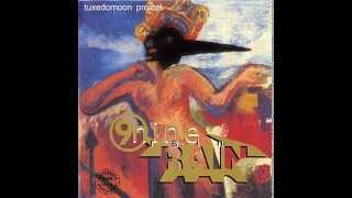 Nine rain - God Of Duality
