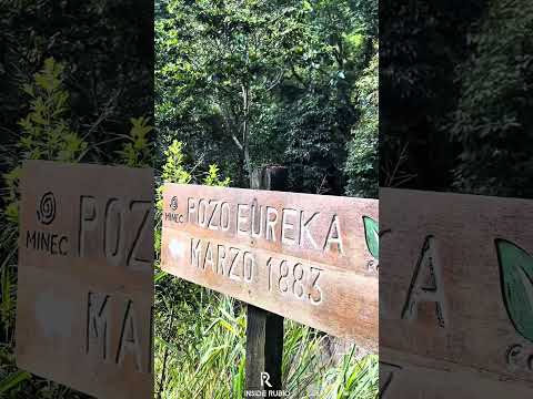 Voz: @ingmaryrodriguez #rubio #junin #venezolanosenelmundo #gochos #viral #sancristóbal #tachira