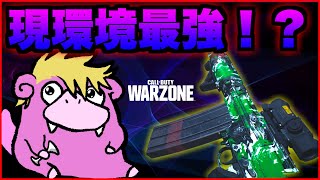 現環境で最強武器候補のFAL使ってみた【WARZONE】
