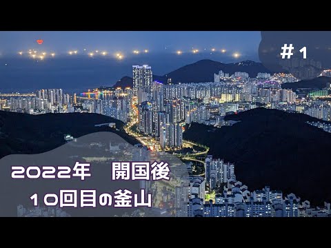 [Vista soberba] Vista noturna de Busan! ! 10ª visita à Coreia #1 desde que o país foi inaugurado no ano passado