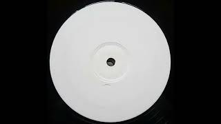 James Polished The Fish – What? (Sound City Remix) (1999)