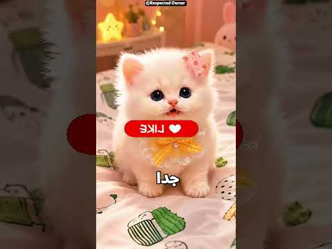 إيه الموجود جوه بيت السمكة؟ 🐟🤯