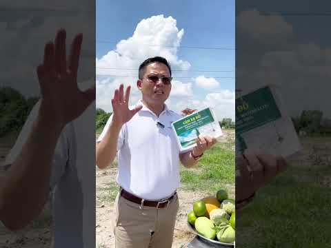 Phong thủy BĐS  Hướng dẫn cách cúng chuẩn để bán đất dễ dàng