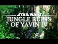 Star Wars 4K Music Ambience Jungle Ruins Of Yavin IV Study Relax Ambient Music 3 Hrs