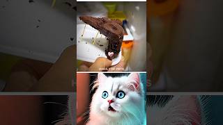 Download lagu #awezchaitrend mp3 Download lagu #awezchaitrend mp3