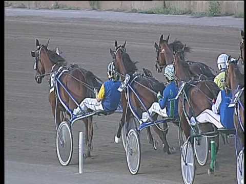 Trotto 01/07/2017 - 3ª corsa