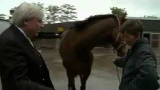 Stars Go Racing: Francis...'Oh God I'm Surrounded by Horses!'