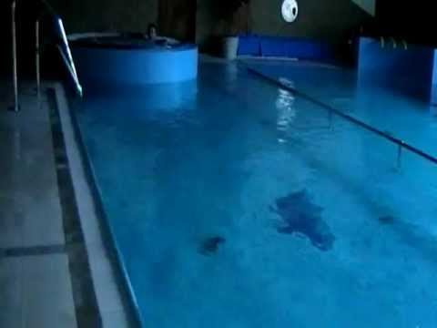 Hotel Prezydent ***** Krynica Zdrój