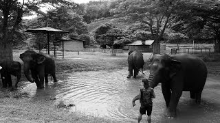 Download lagu 2. thailand  mp3