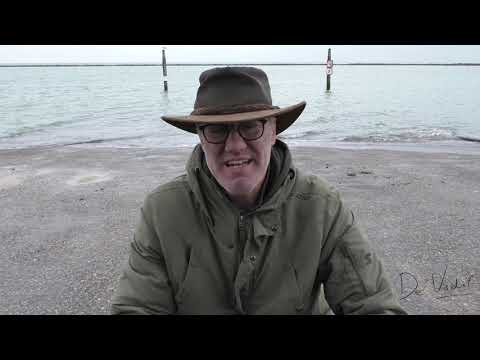 Leer drie soorten meeuwen herkennen op de Brouwersdam