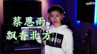 蔡恩雨 - 飘向北方 (1小时版本)