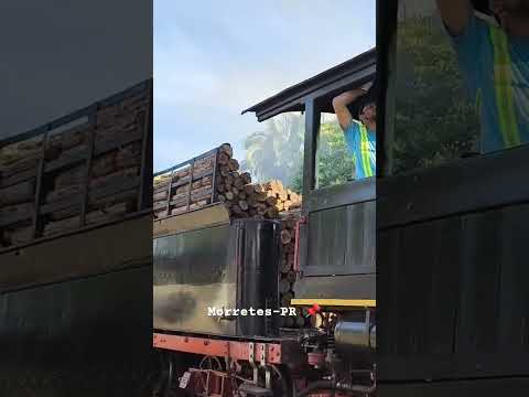 Passeio de Maria fumaça em Morretes  || Paraná || #travel #natureza #viagem #train #travelvlog