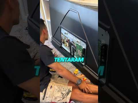 Sua tv pode estar virando um ninho de insetos sem você perceber!