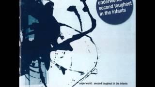 Underworld - Sappy's Curry