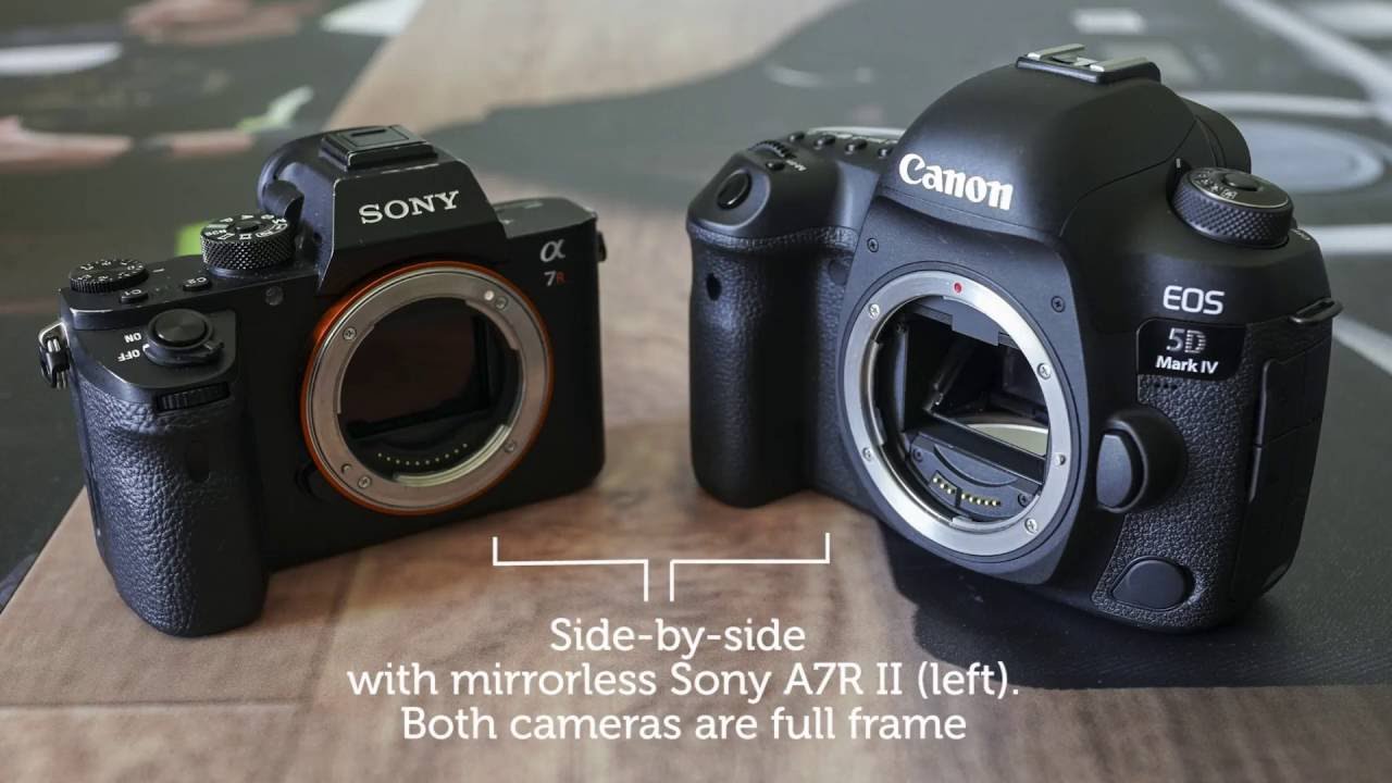 Зеркальный фотоаппарат Canon EOS 5D Mark IV Body