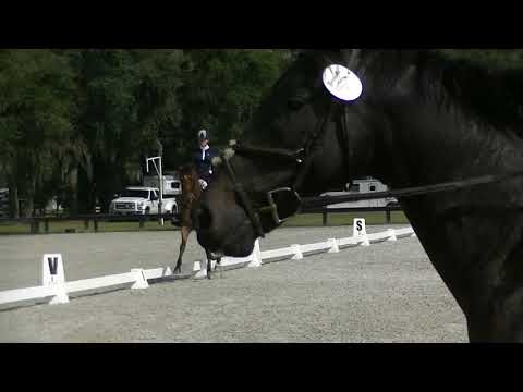 Sinead Halpin & Cutty Sark CCI 2 star Dressage test B