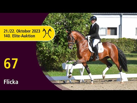 140th Elite-Auction - Oct. 21/22 - No. 67 Flicka by Fürst Samarant - Rotspon
