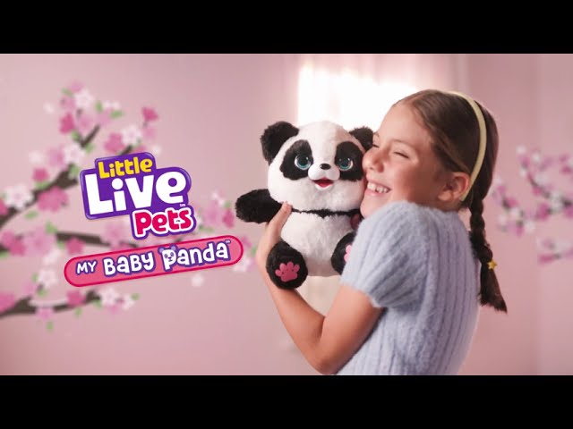 Vídeo relacionado con My Baby Panda ChuChu de Little Live Pets | Mascota interactiva con +50 Sonidos y reacciones, agita los pies, Hace popó y se ríe. Orinal Incluido. Un Regalo Divertido y Adorable para los niños (30 cm)