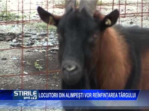 Locuitorii din Alimpești vor reînființarea târgului