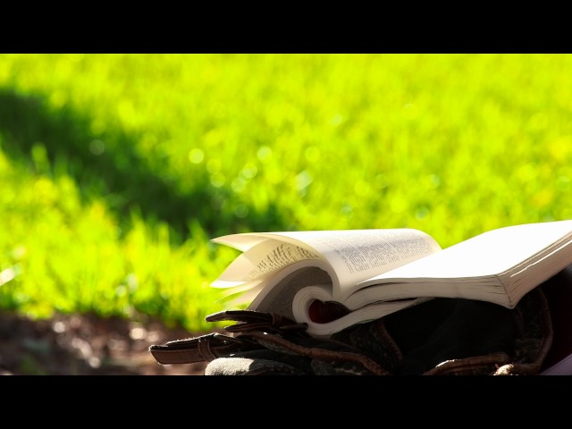 New College of Florida видео №1