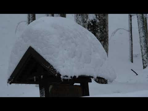 Montagna Pistoia: ancora neve annunciata, allerta meteo arancione