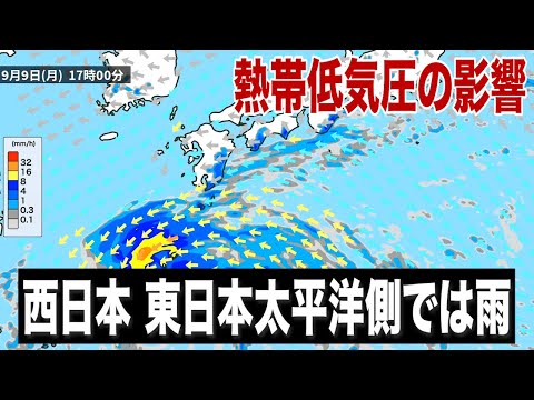 ビルダーとしての熱帯低気圧