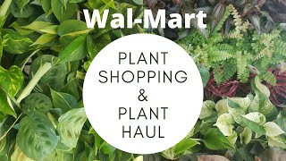 Plant Shopping & Incredible Plant Haul