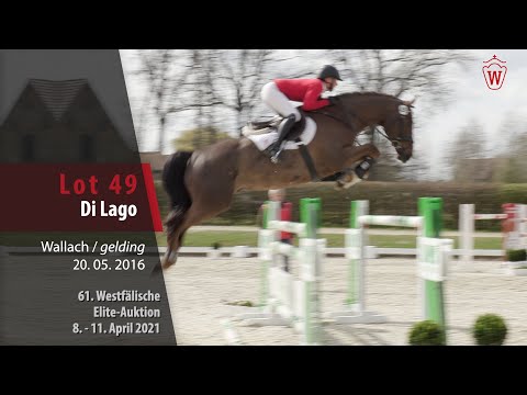 61. Elite-Auktion Trainingsvideo Lot 49 Di Lago Wallach v. Diathago -   Arpeggio