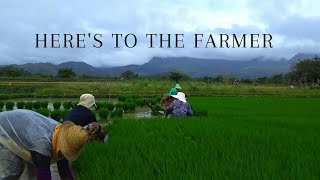 Here's to the Farmer Lyrics by Luke Bryan | Jocy Balicat #Farmer #LocalFarmer