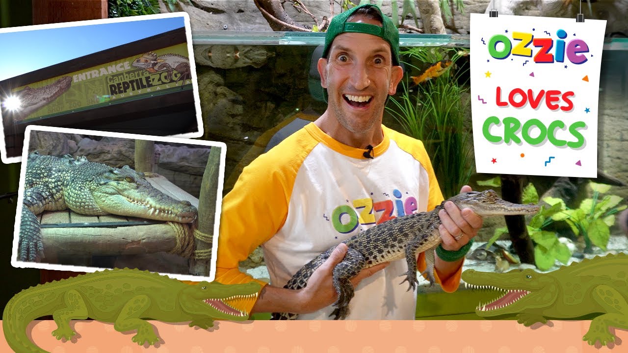 Crocodiles for Kids | Learn About Saltwater Crocs with Ozzie | Reptile Zoo Educational Video