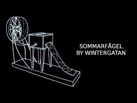 Sommarfågel By Wintergatan / Track 1/9