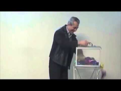 Glassy Briefcase by Tora Magic