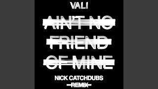 Ain't No Friend Of Mine (Nick Catchdubs Remix)