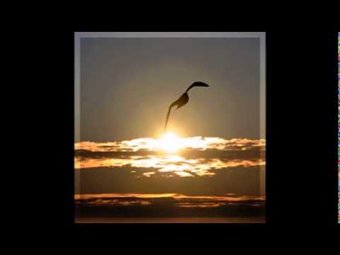 Keith Moore - Healing in His wings