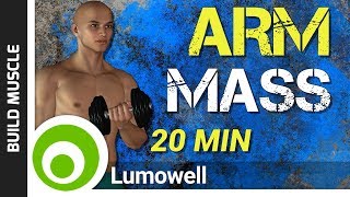 Arm Mass Workout