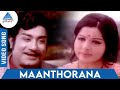 Paattum Bharathamum Tamil Movie Songs Maanthorana Video Song P Susheela TMS MS Viswanathan