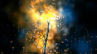 Stornoway / We Were Giants