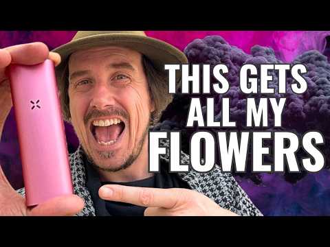 The New PAX Mini 🌿 – The Best Vaporizer in the World? (Honest Review)