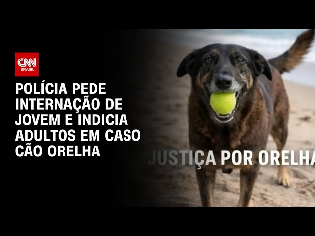 Cão Orelha: Polícia pede internação de jovem responsável pelo assassinato | CNN NOVO DIA