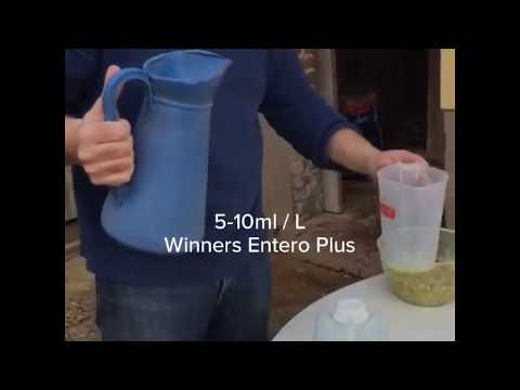 Video Hoe gebruik je Winners Entero Plus?