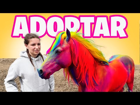 ASÍ es el RESCATE de CABALLOS y Ponys ¡¡Adoptam....
