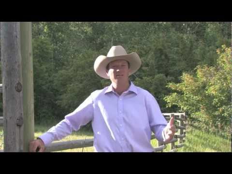 Jonathan Field Talks Road to The Horse