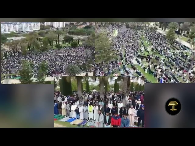 El imparable avance del Islam en España