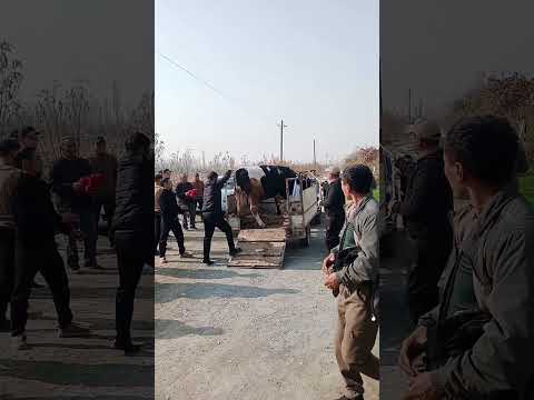 Суннат туй (продолжение