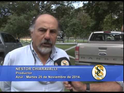 Nestor I. Goenaga y Cia S.A. - Nota Nestor Chiaravalli - Azul - 25/11/2014
