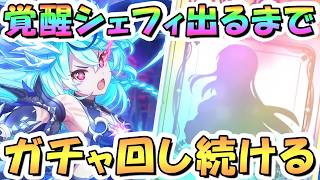【プリコネR】シェフィ（ヴァードラッヘ）お迎えするまでガチャ回し続ける