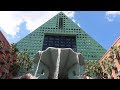 Swan Dolphin Resort At Walt Disney World New Lobby Hotel Room Tours